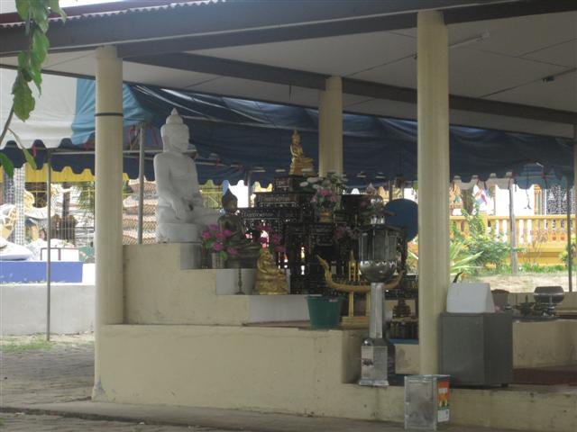 IMG_0809 (Small).JPG
