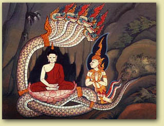 naga.jpg