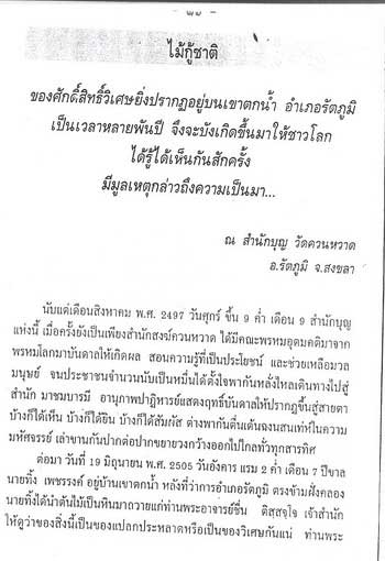 07.jpg