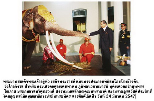 elephant08.jpg