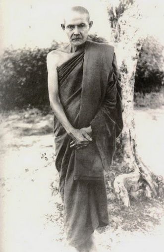 lungpomut.jpg