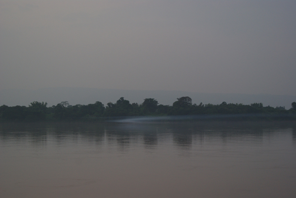 DSC00382.jpg