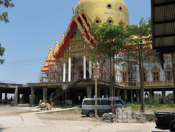 06.jpg