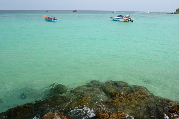 DSC_0055.jpg