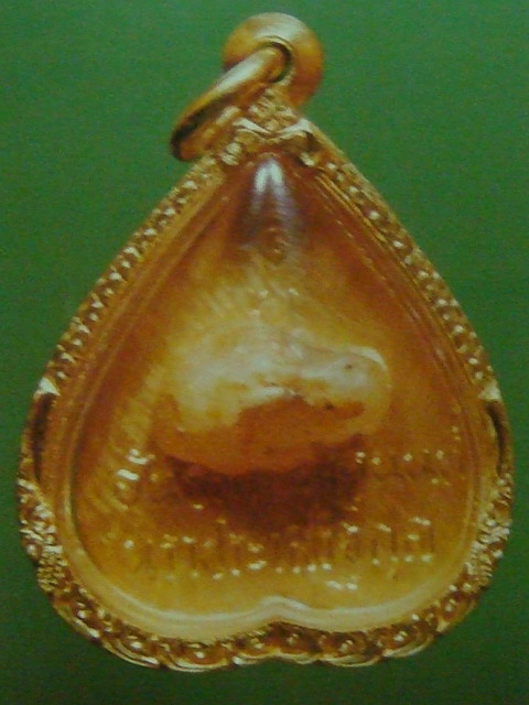 DSC01774.jpg