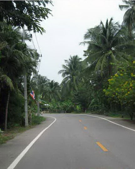 t03.jpg