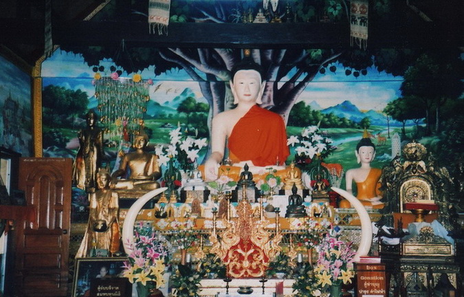 Copy (2) of img035.jpg