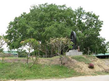 08.jpg