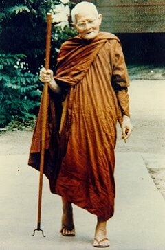wan1.jpg