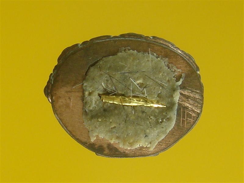 DSC00084 (Medium).JPG