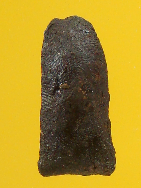 DSC01102.JPG