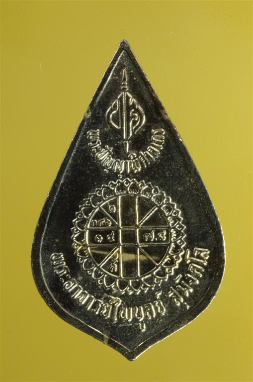 DSC_0310 (Large).jpg