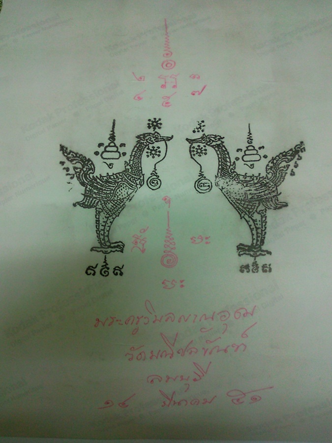 SNC00324.jpg