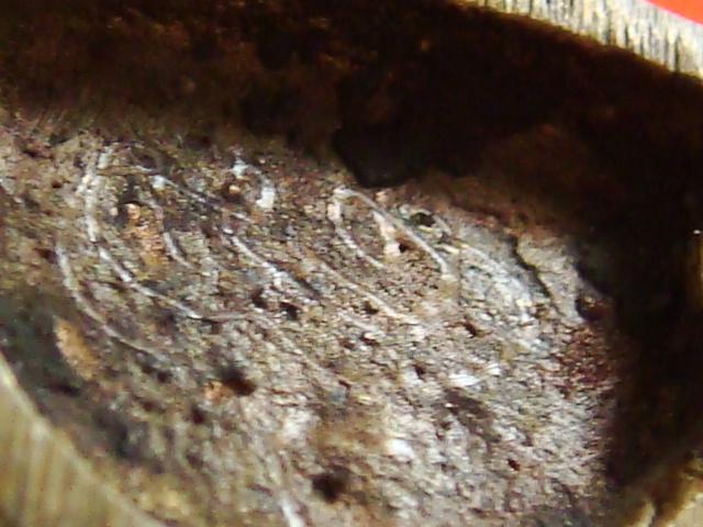 DSC09989 (Small).JPG