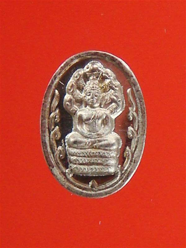 DSC00167 (Medium).JPG
