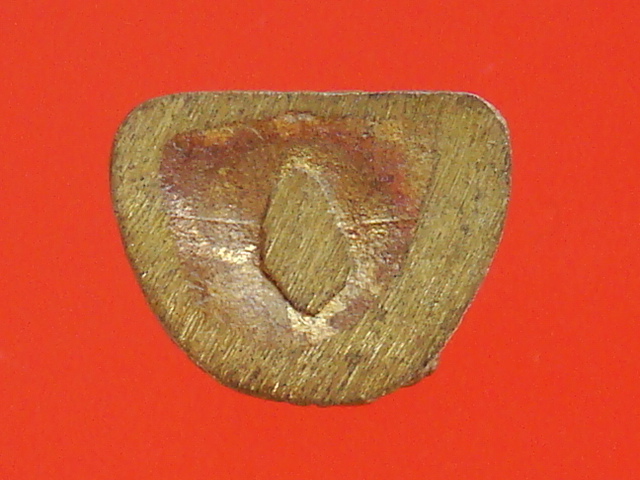 DSC01424.JPG