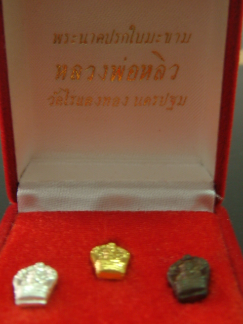 DSC01370.JPG