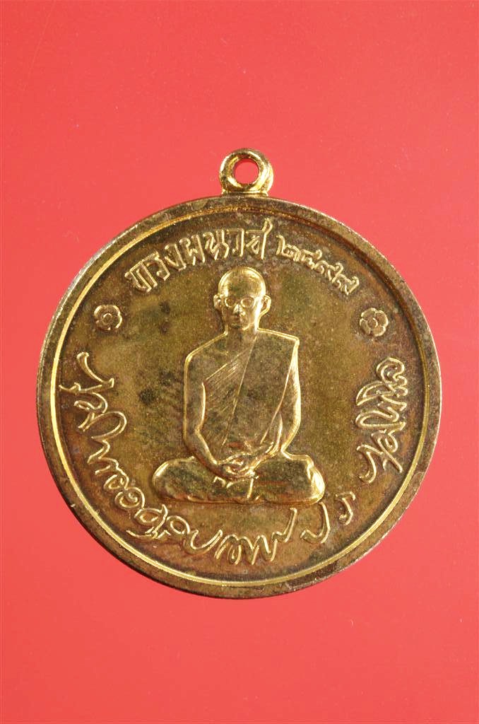 DSC_0227 (Large).jpg