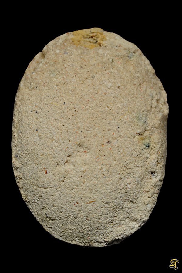 DSC_6492.jpg DSC_6492.jpg