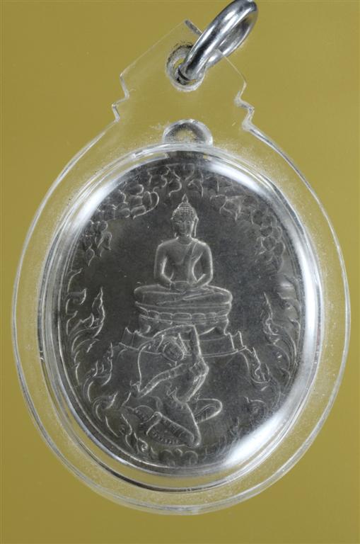 DSC_0355 (Large).jpg