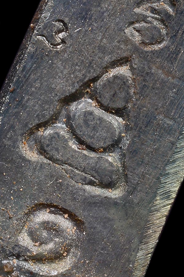 DSC_1248.jpg