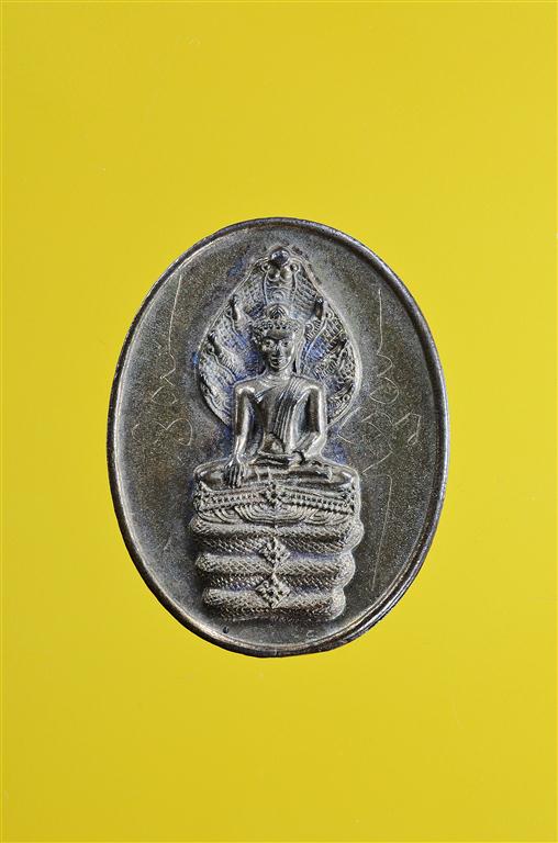 DSC_0486 (Medium).JPG