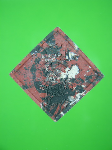 P1030598_resize.JPG