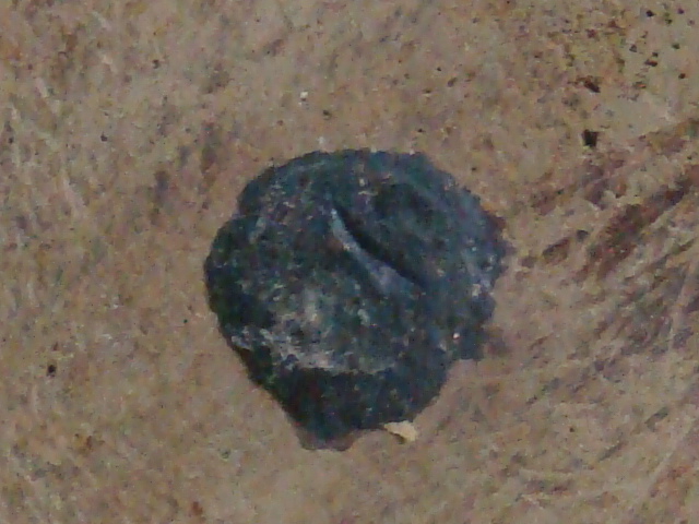 DSC05084.JPG