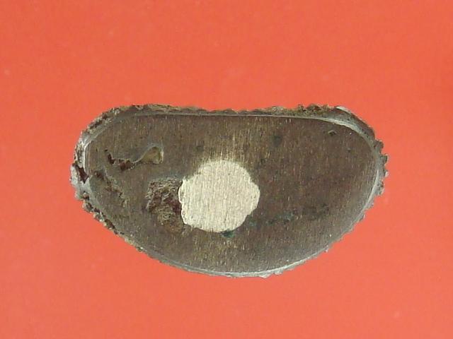 DSC06986 (Small).JPG