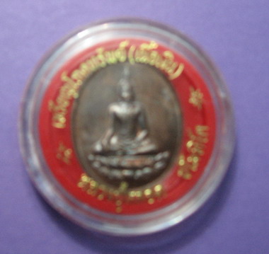 17-06-09 013.jpg
