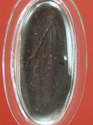 DSC06636 (Small).JPG