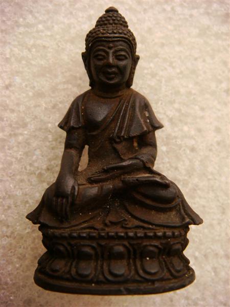 DSC00284 (Medium).JPG