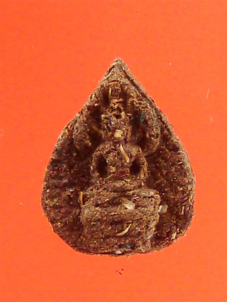 DSC00565 (Large).JPG