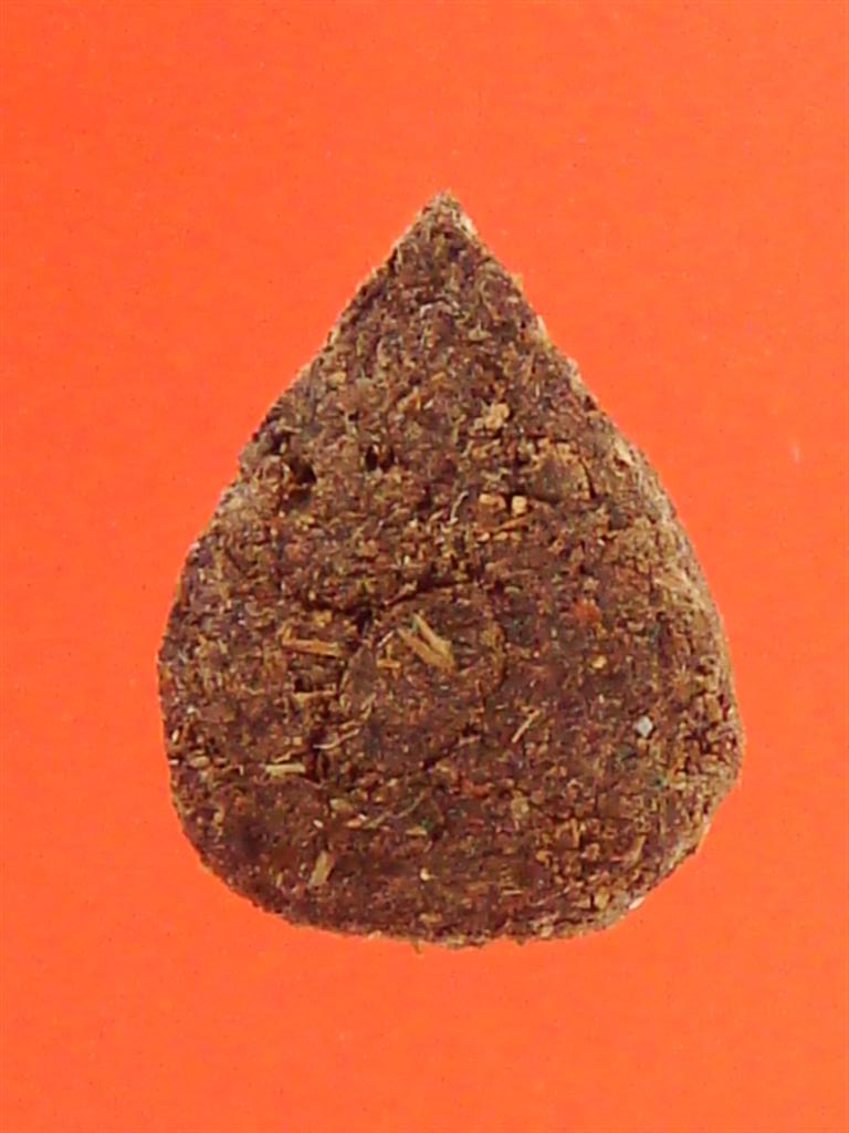 DSC00566 (Large).JPG