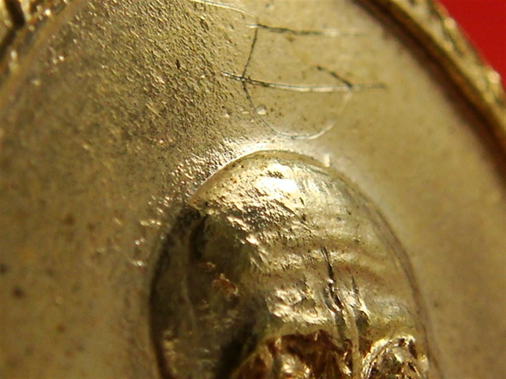 DSC00560 (Large).JPG