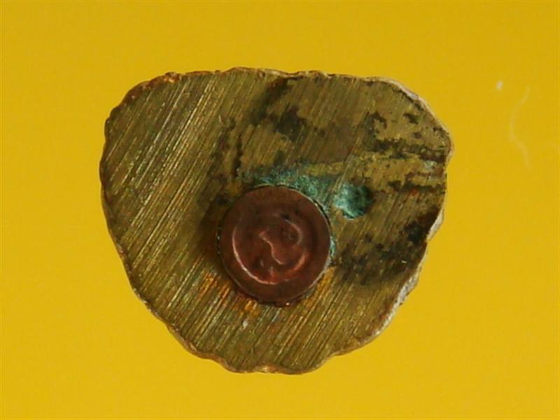 DSC01898 (Medium).JPG