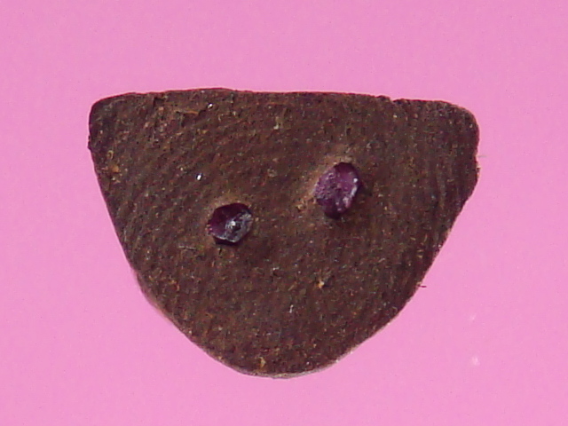 DSC02605.JPG