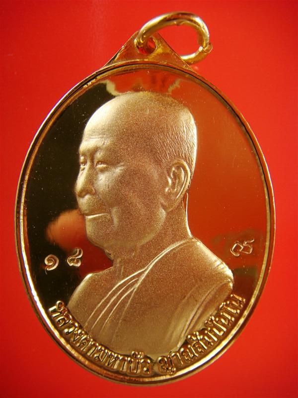 DSC02877 (Medium).JPG