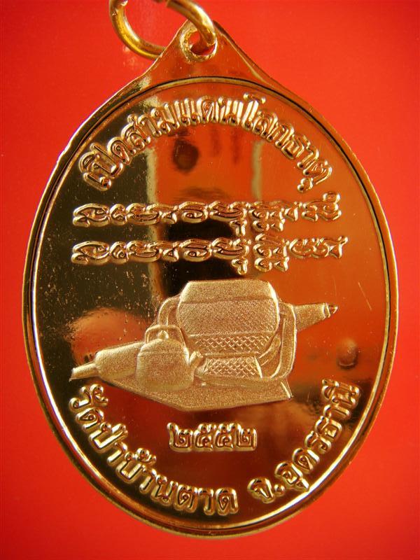 DSC02878 (Medium).JPG