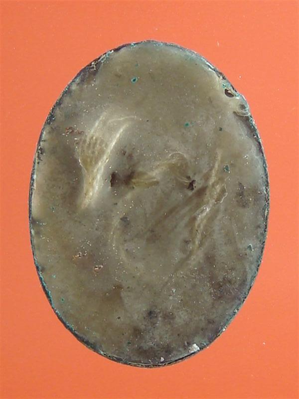 DSC04013 (Medium).JPG