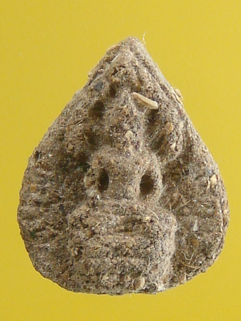 DSC01532.JPG