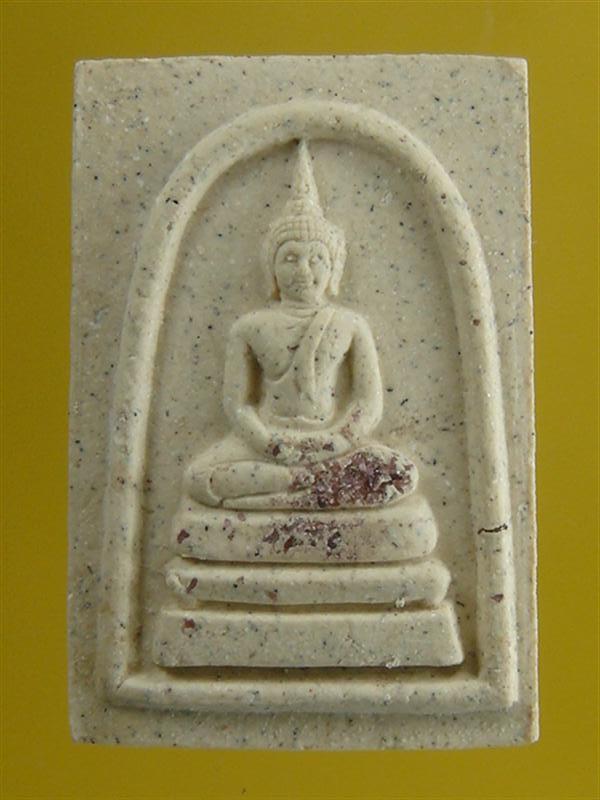 DSC02015 (Medium).JPG