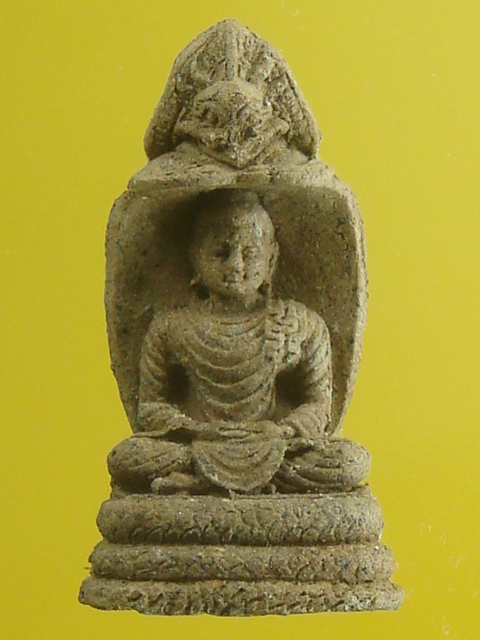 DSC01503.JPG