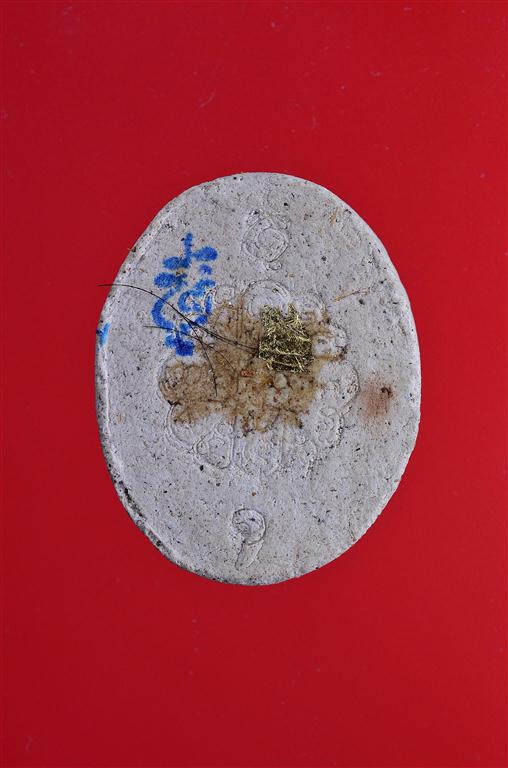 DSC_1931 (Medium).JPG