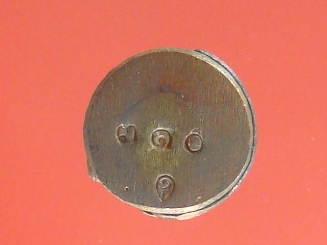 DSC08175 (Small).JPG