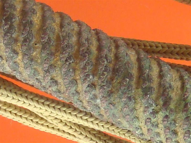 DSC09737 (Medium).JPG