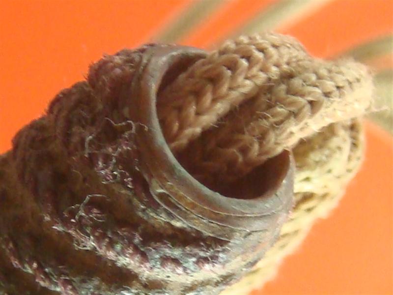 DSC09738 (Medium).JPG