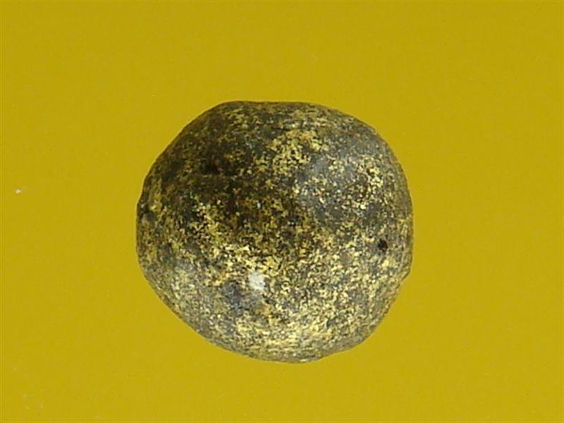 DSC01043 (Medium).JPG