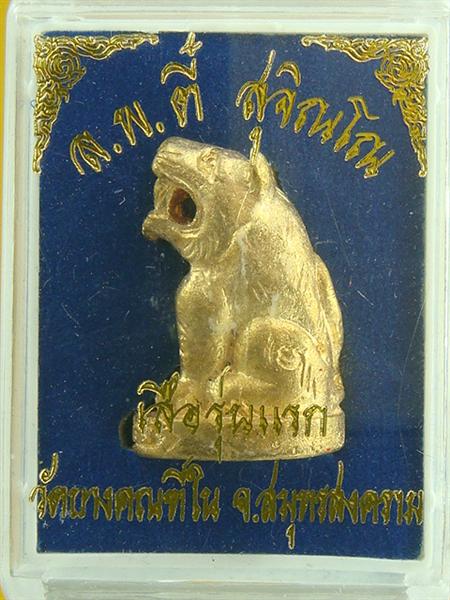 DSC01088 (Medium).JPG