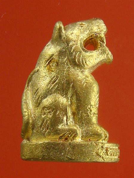 DSC01090 (Medium).JPG